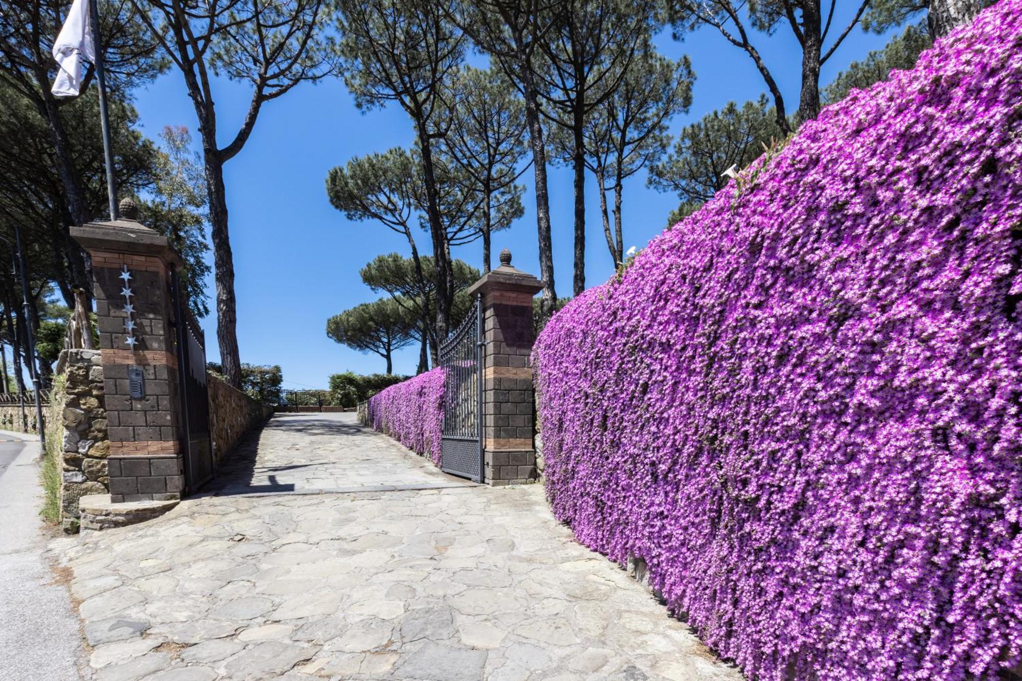 Oasi Olimpia Relais Hotel SantʼAgata sui Due Golfi Exterior foto